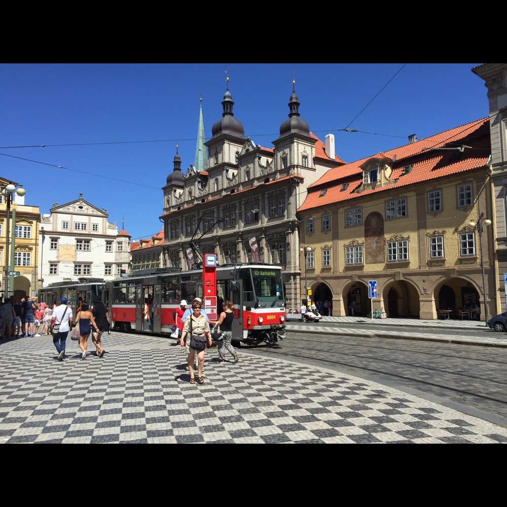 Meet your Posher, Pat